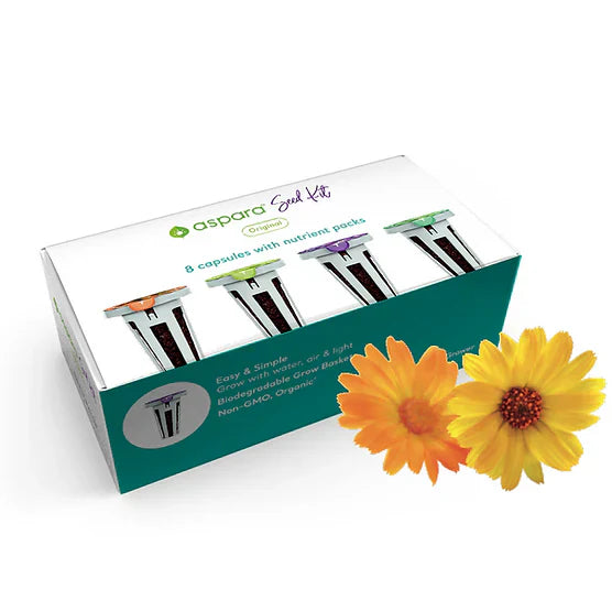 New Seed Kit – Calendula