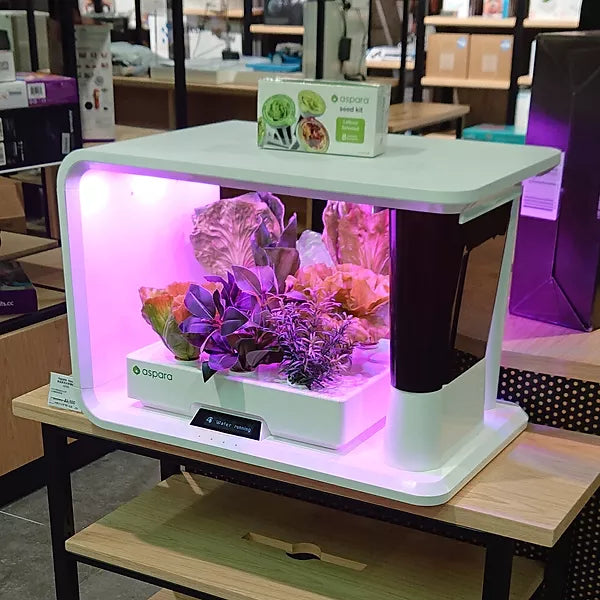 aspara 已进驻丰泽新城市广场 TechLife 分店