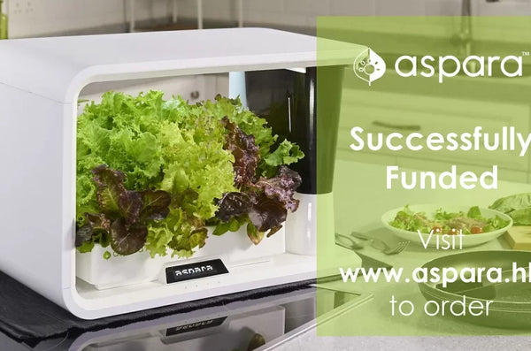 Successfully funded in Kickstarter