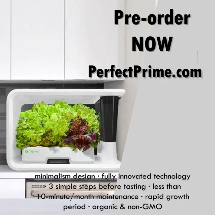 aspara available for pre-order