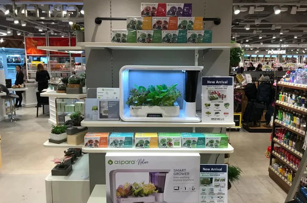 aspara is available in LOG-ON Festival Walk