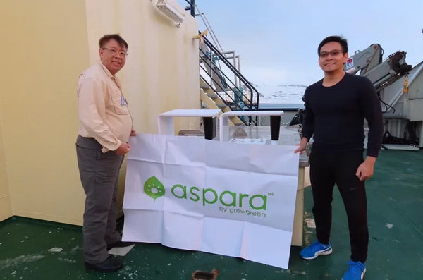 aspara@Arctic Circle