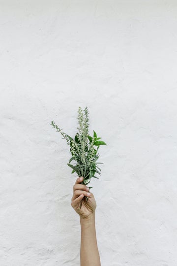 Seasoning Herbs