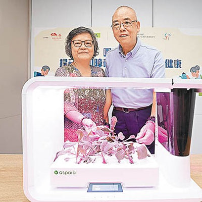 研究：園藝令認障患者快樂 減照顧者困擾