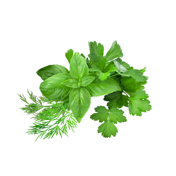 香草精选