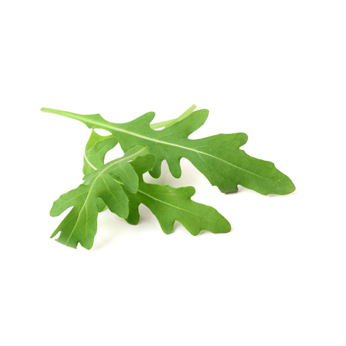 火箭菜
