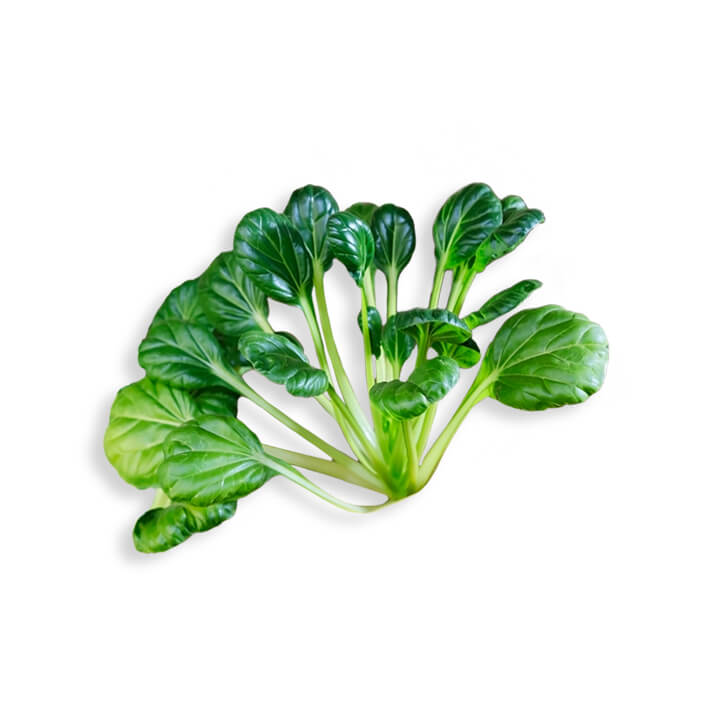 塌棵菜