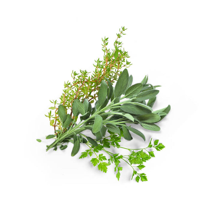 调味香草精选