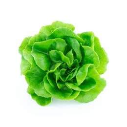 牛油生菜
