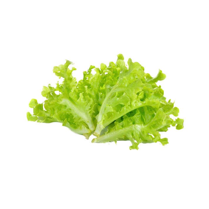 綠生菜