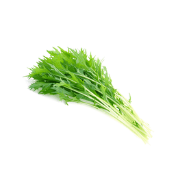 日本水菜