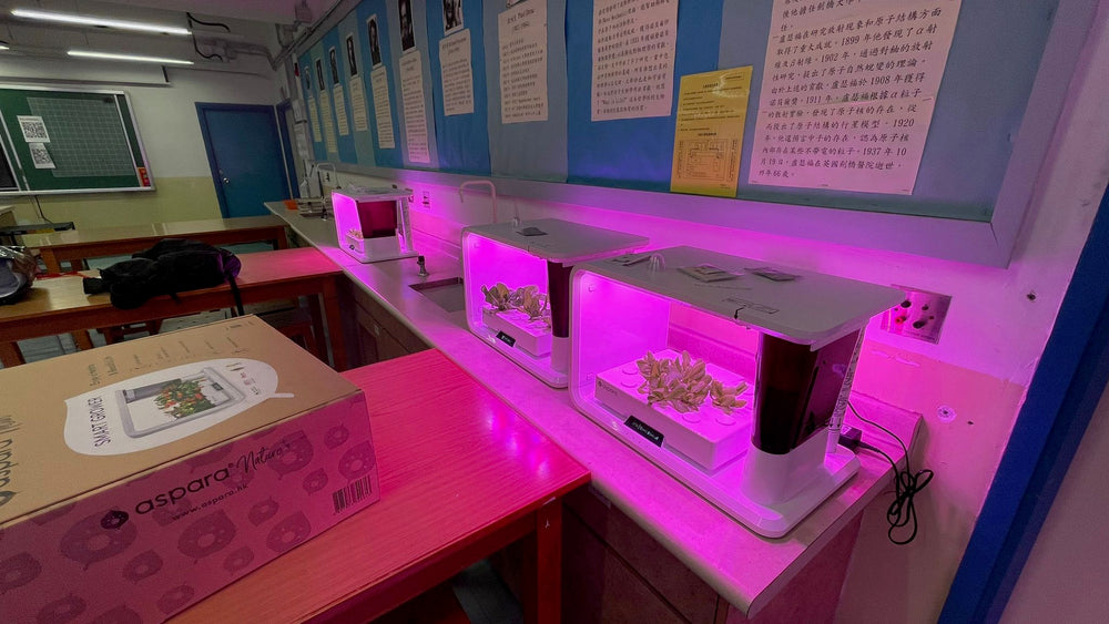 东区学校