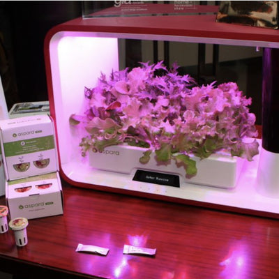 【在家種菜】港產膠囊水耕種植機