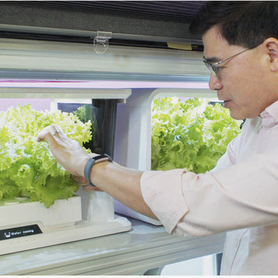 為吃一口好菜再創業 智能水耕種植機專訪