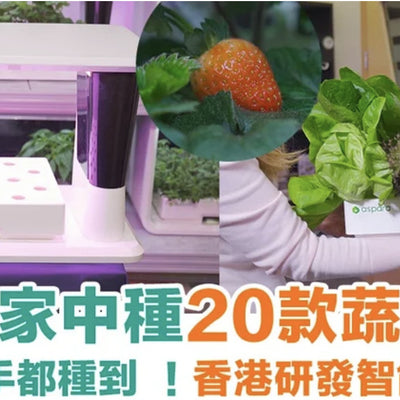 安坐家中種20款蔬果！新手都種到