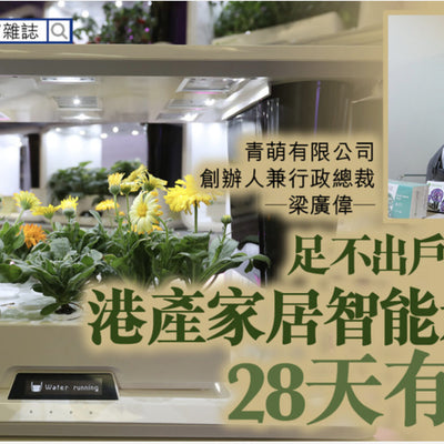 足不出戶種新鮮菜