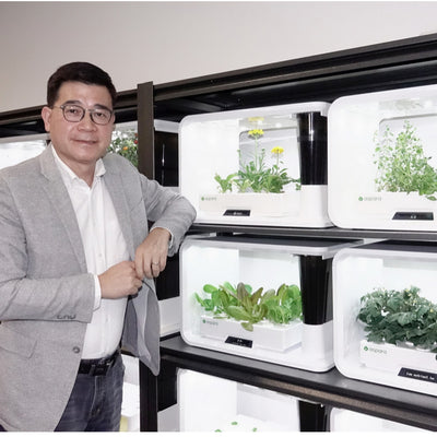 智能水耕機種出STEM商機