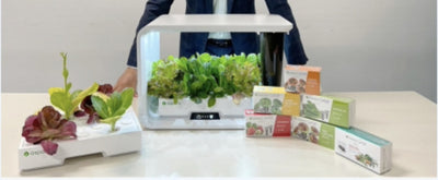 現代農夫研水耕機 先拓歐美再攻內地