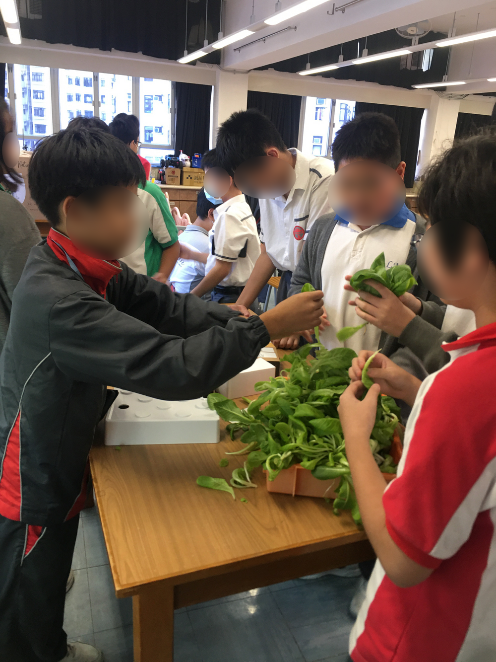 东区学校