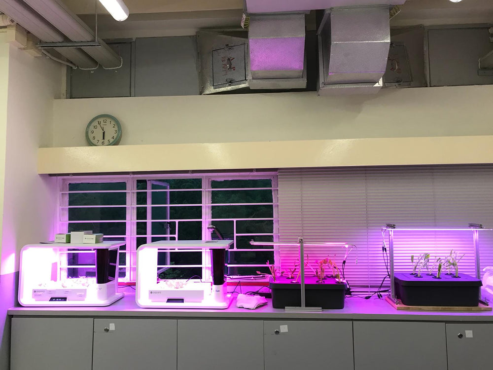 西贡区学校