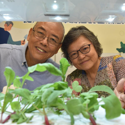 理大研究：園藝治療延緩認知障礙　患者心理及行為症狀減少近25%