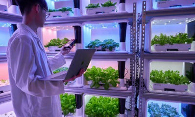 Using smart tech to grow indoor herb gardens