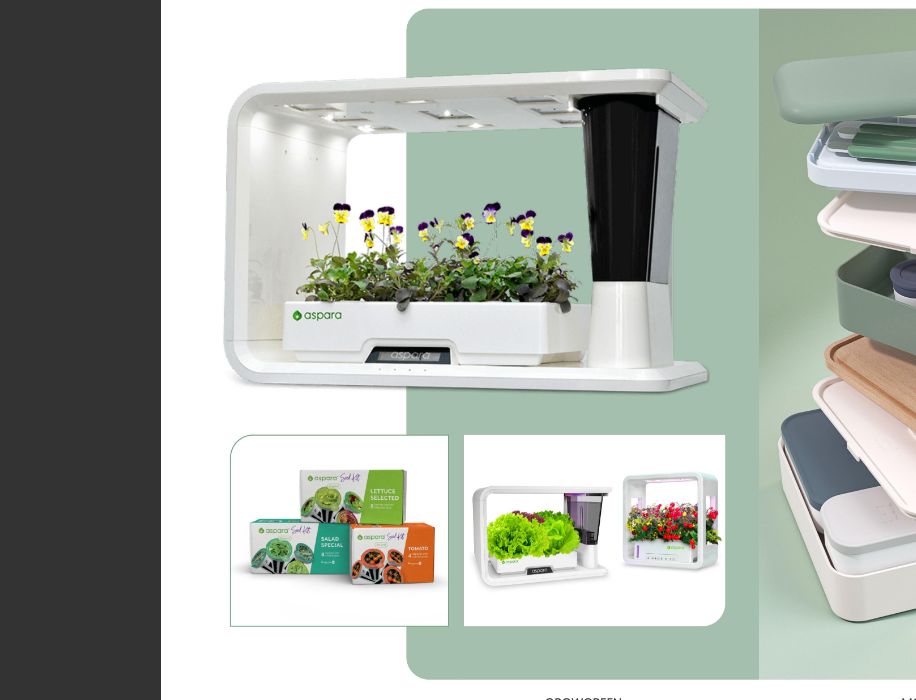 2024.07.11​ – HomePage News