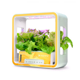 aspara® Stylist Lite Smart Grower - Art Series