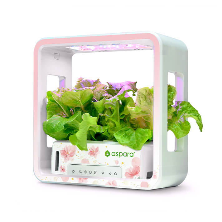 aspara® Stylist Lite Smart Grower - Art Series