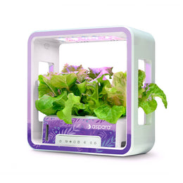 aspara® Stylist Lite Smart Grower - Art Series