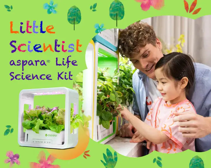 Little Scientist - aspara® Life Science Kit (Suitable for 3+)