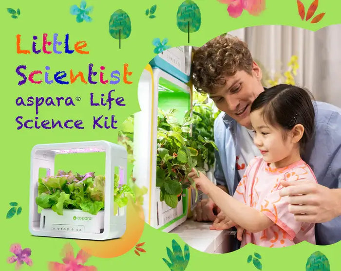 Little Scientist - aspara® Life Science Kit (Suitable for 3+)