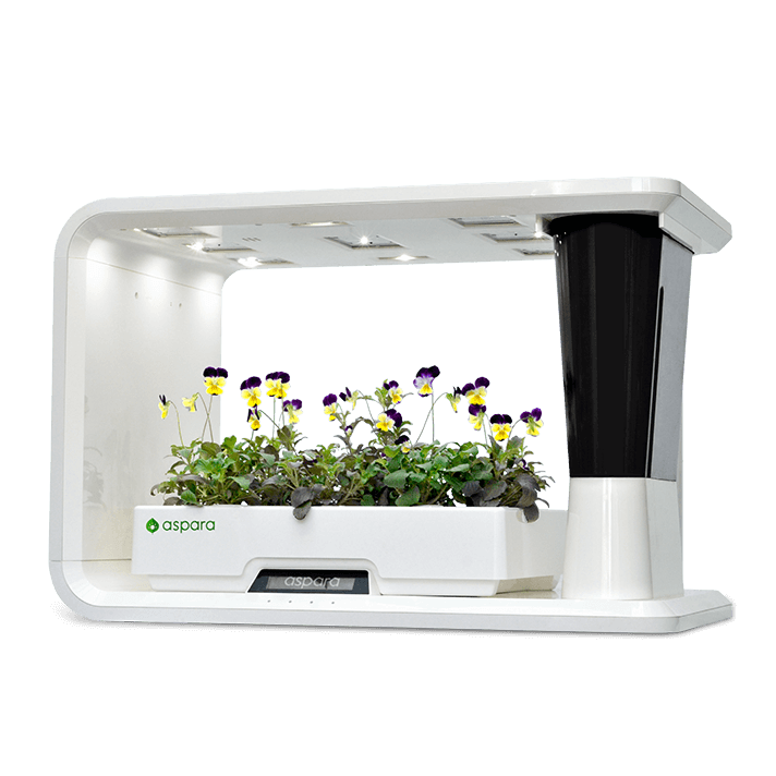aspara® Nature 智能种植机 (家用版)