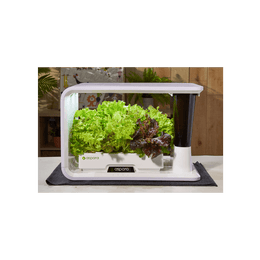 aspara® Nature 智能种植机 (家用版)