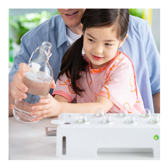 Add water and plant food to the grow tank