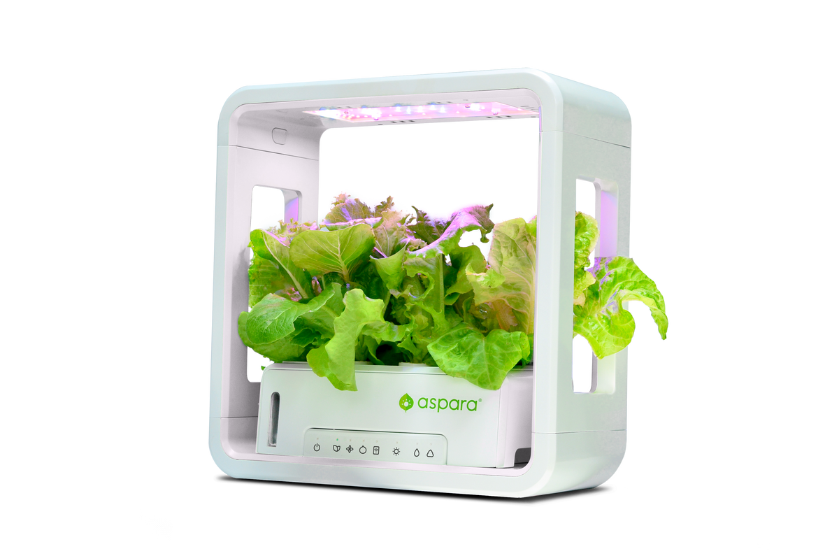 aspara® STEM Stylist Lite智能种植机：