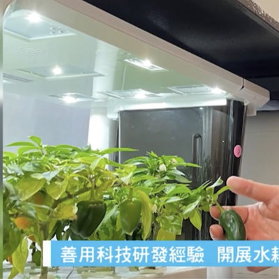 【創業軍師】青萌 Growgreen