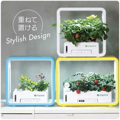 家の中で使える水耕栽培キット