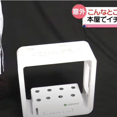 【意外】本屋で“イチゴ” 教習所で“キクラゲ” 意外な場所での“栽培”広がる