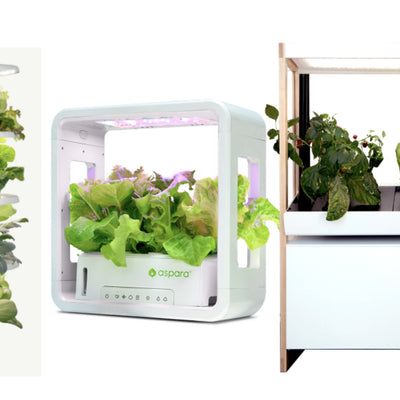 Can Self-Watering Indoor Gardens Save You Effort and Money?