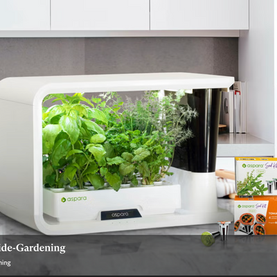 A dozen fresh-picked holiday gift ideas for gardeners