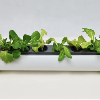 9 best home hydroponics kits