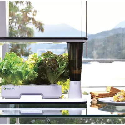 Where To Find The Best Indoor Herb Garden Kits: 2021 Edition