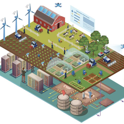 Is urban food farming a priority?