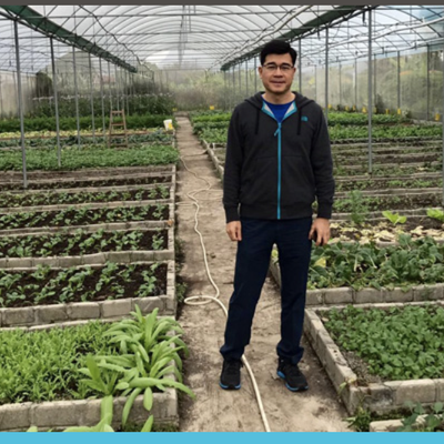 The Farm to Table Business