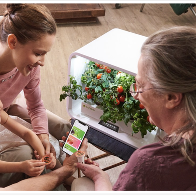 Produce Fresh Vegetables in The Comfort of Your Home!
