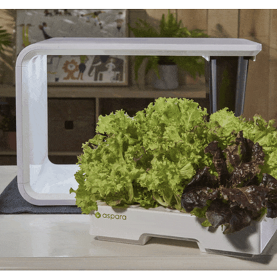 A Smart Indoor Garden