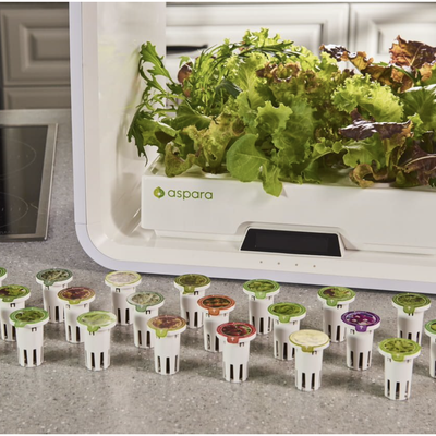 Runs Your Countertop Garden