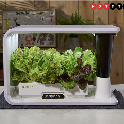 The aspara lets you grow veggies in your home