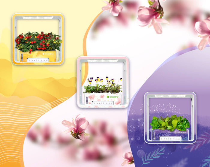aspara® Stylist Lite Smart Grower - Art Series